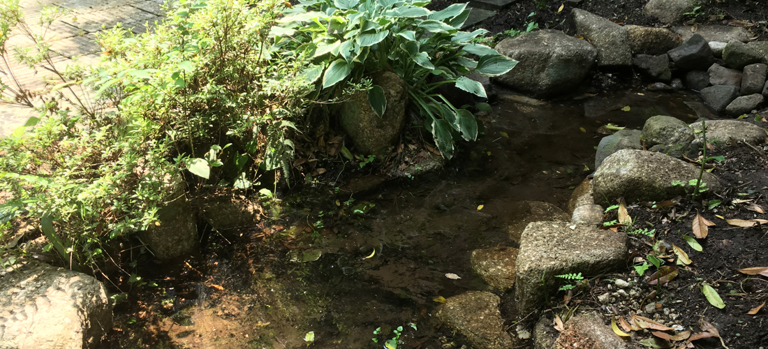 slideshow Image10